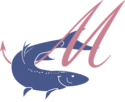 Fisch und Feinkost Meichle am Bodensee - Logo hell